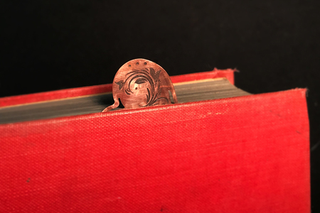BOOK SERIES: HEARTS