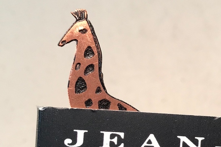 BOOK SERIES: GIRAFFE