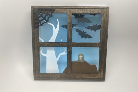 PAINTED ACRYLIC & WOOD SHADOW BOX