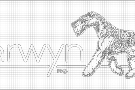DARWYN LOGO